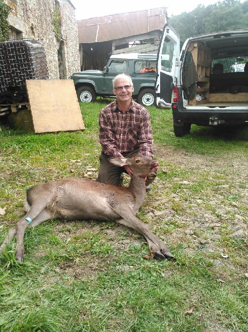 chasse 2016 Landes d'Ecouves