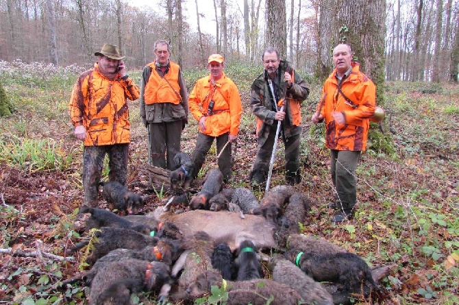 Chasse 24 novembre 2016