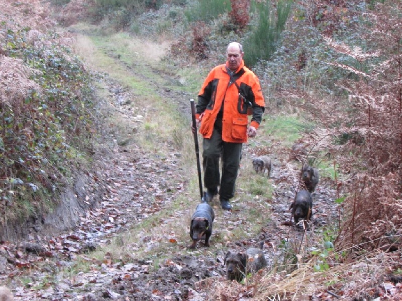 Chasse du 27 Novembre 2014