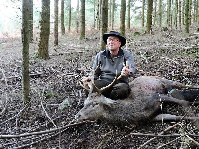 Chasse Des Landes d'Ecouves 2015